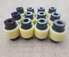 GTS型尼龍內齒聯軸器