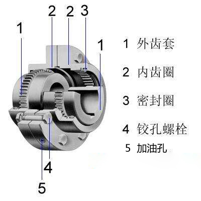 鼓形齒式聯軸器結構