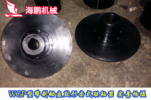 WGP帶制動盤鼓形齒式聯軸器